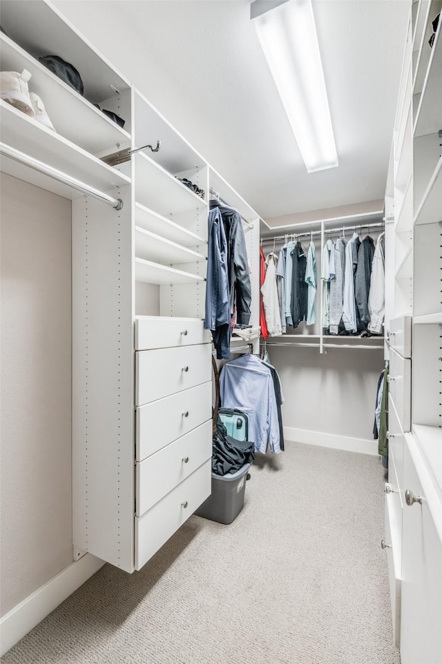 spacious closet featuring carpet floors