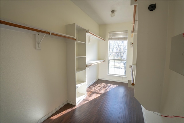 walk in closet featuring dark wood-type flooring