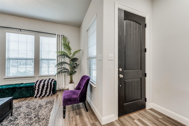 foyer featuring light hardwood / wood-style floors