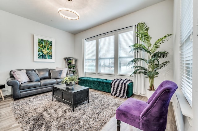 living room with light hardwood / wood-style flooring