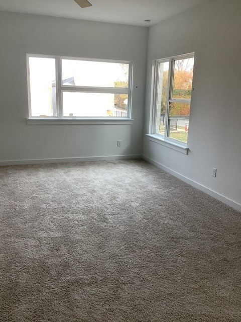 spare room with ceiling fan and carpet flooring