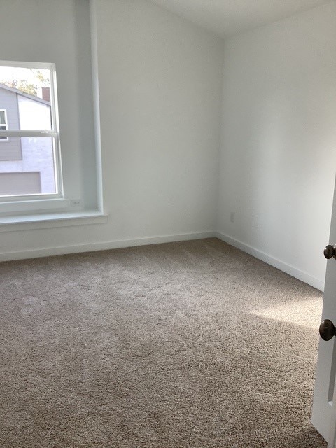 spare room with carpet flooring