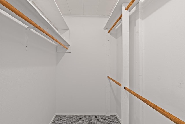 walk in closet featuring carpet flooring