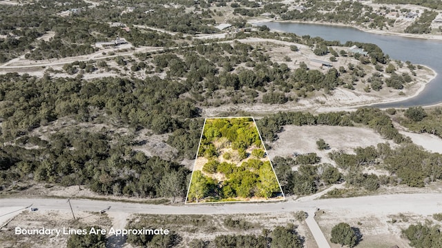 3250 Beacon Lake Dr, Bluff Dale TX, 76433 land for sale