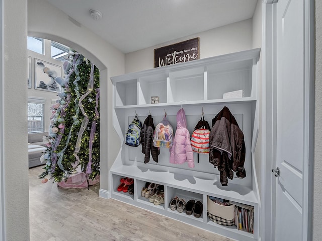 mudroom featuring plenty of natural light and wood-type flooring