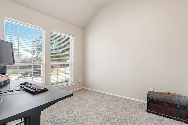 office space with vaulted ceiling, carpet floors, and a textured ceiling