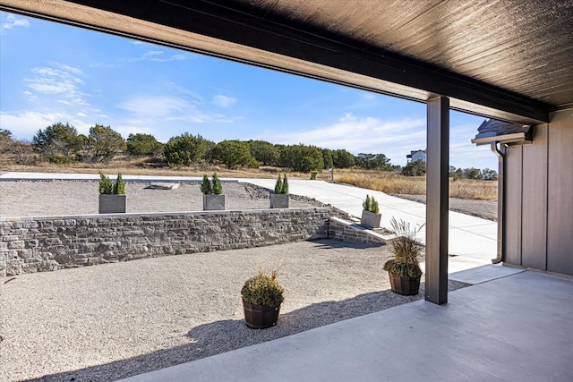 view of yard featuring a patio area