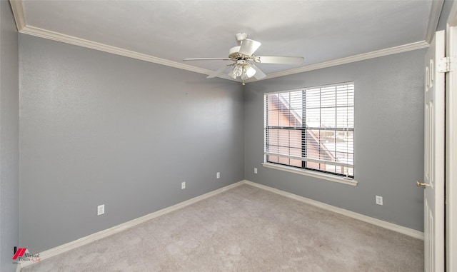 carpeted empty room with ceiling fan and ornamental molding