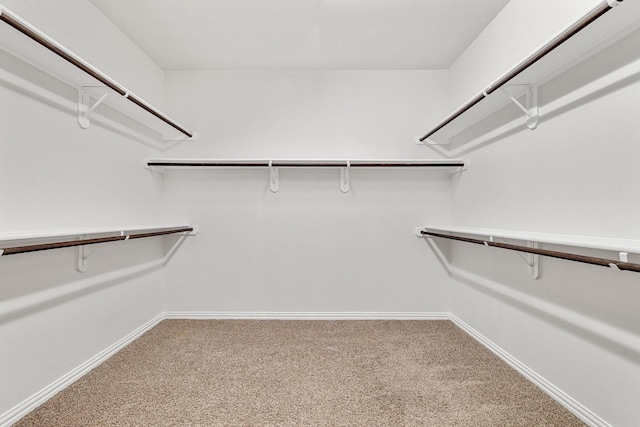 walk in closet with carpet