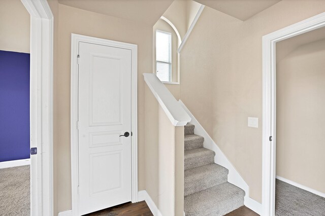 stairway with carpet floors