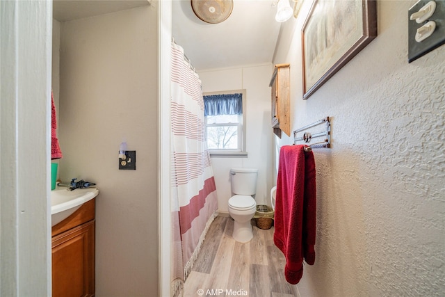 bathroom featuring vanity, toilet, and wood-type flooring