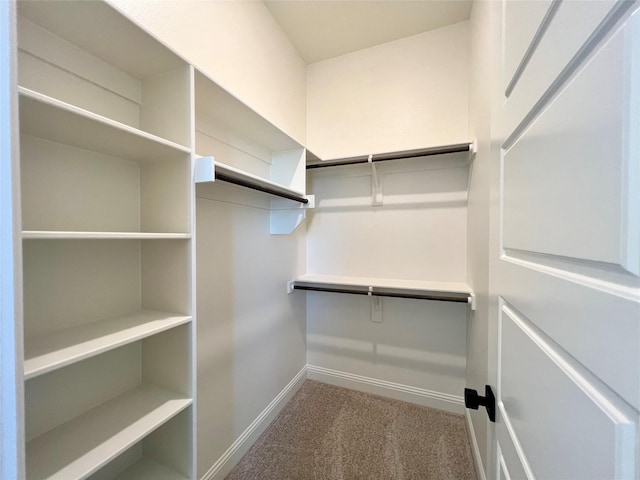 walk in closet featuring carpet flooring