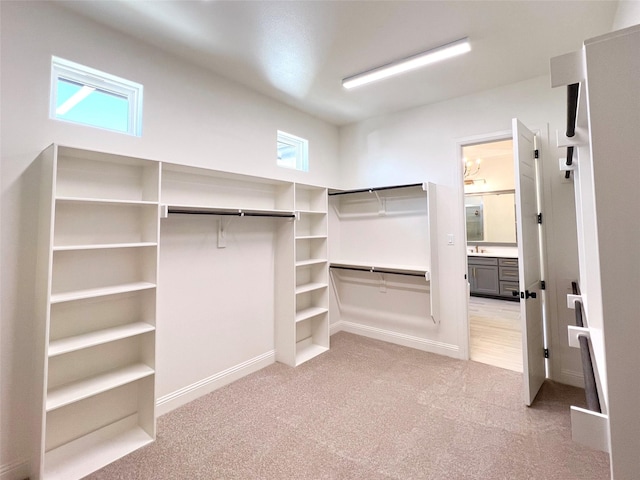 spacious closet with carpet floors