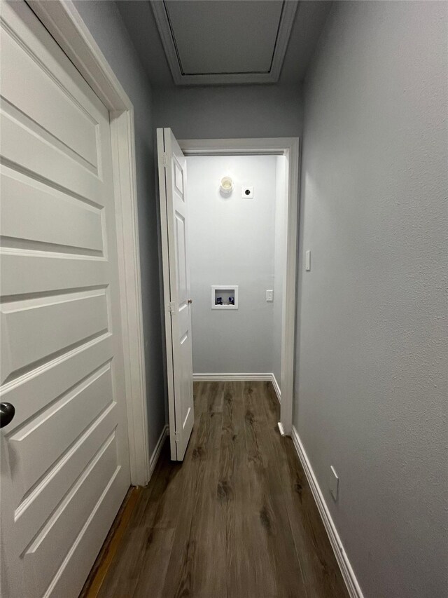 hall with dark wood-type flooring