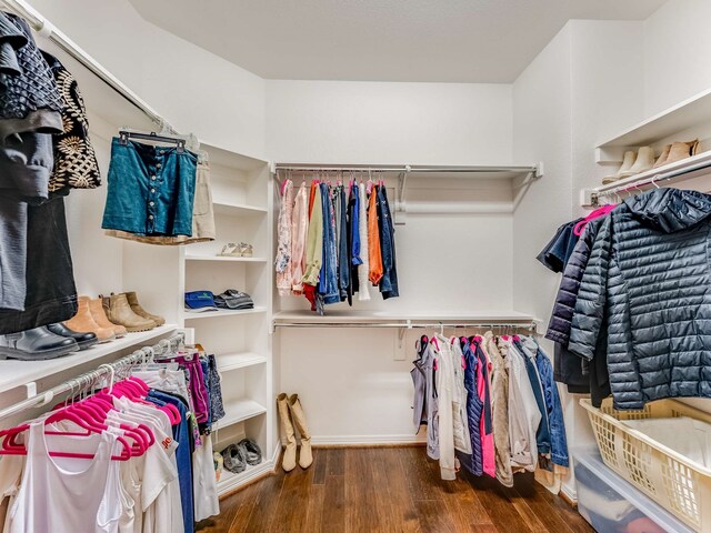 spacious closet featuring dark hardwood / wood-style floors