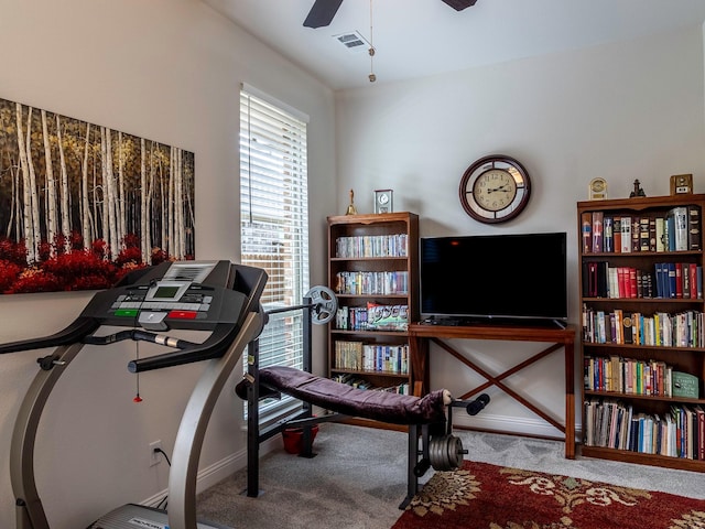 office space featuring ceiling fan and carpet