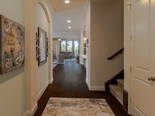 hallway with dark wood-type flooring and ornamental molding