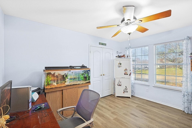 home office with light hardwood / wood-style floors and ceiling fan