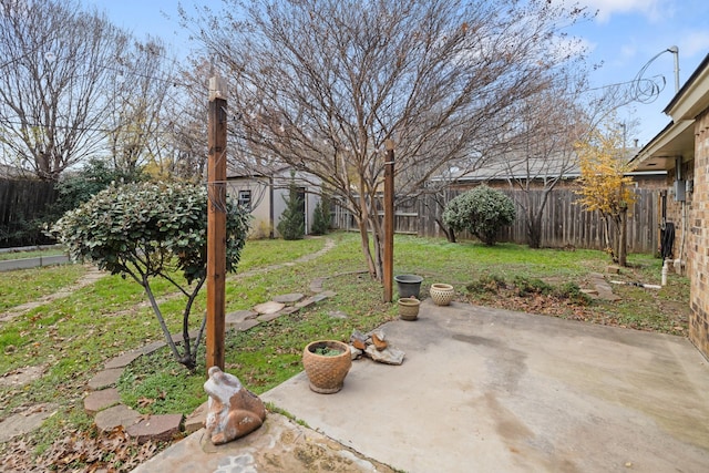 view of yard featuring a patio area