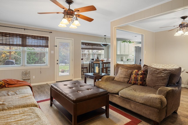 living room with ceiling fan, hardwood / wood-style floors, and ornamental molding