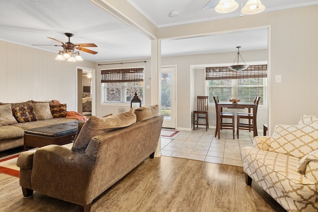 living room with ceiling fan, a healthy amount of sunlight, light hardwood / wood-style floors, and ornamental molding