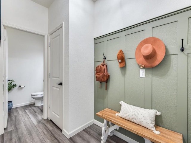 mudroom featuring wood-type flooring