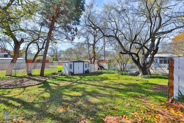 view of yard featuring a shed