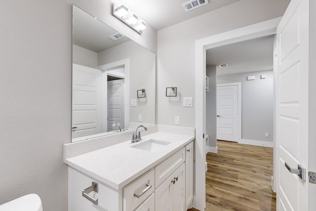 bathroom with vanity and wood-type flooring