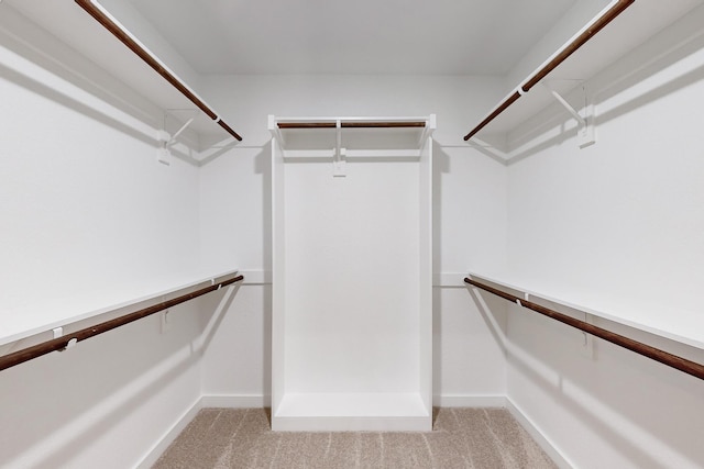 spacious closet with light colored carpet