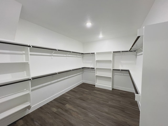 spacious closet featuring dark wood-type flooring