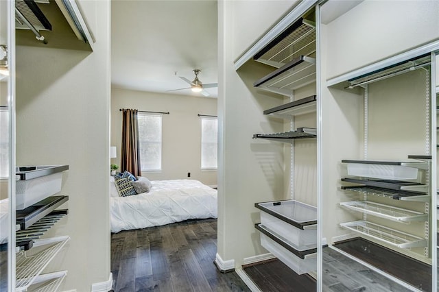 spacious closet with dark hardwood / wood-style floors and ceiling fan