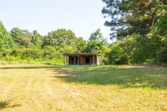 view of yard with an outbuilding