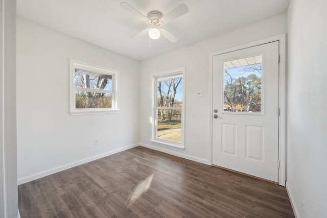 foyer featuring ceiling fan and dark wood-type flooring