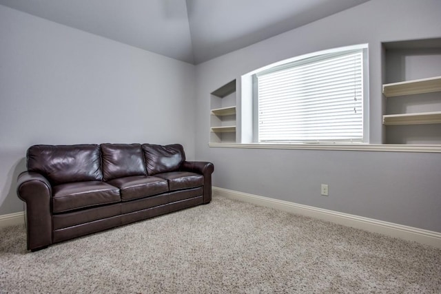 living room with carpet and built in shelves