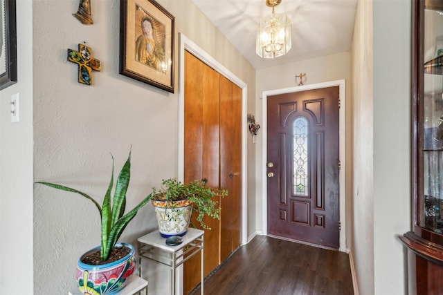 foyer entrance featuring a chandelier and dark hardwood / wood-style floors