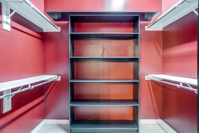 spacious closet featuring carpet flooring