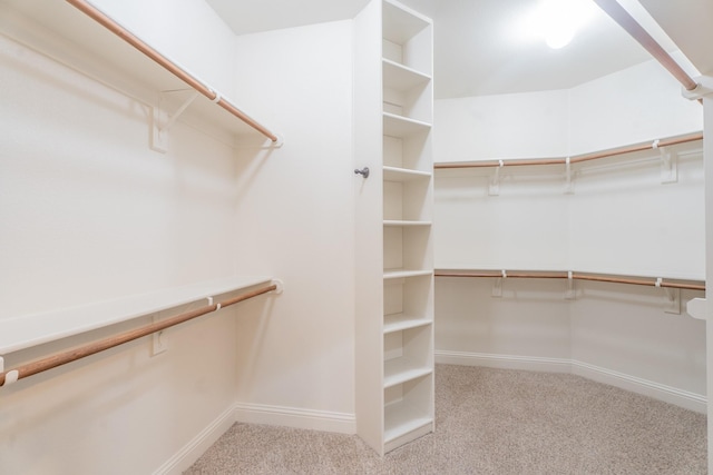 spacious closet with light carpet