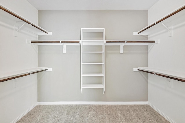 spacious closet with carpet flooring