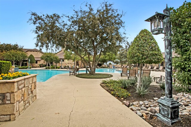 view of swimming pool featuring a patio