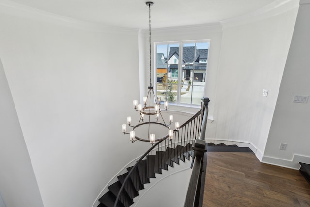 stairs featuring wood-type flooring, a notable chandelier, and ornamental molding