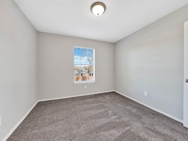 unfurnished room featuring carpet floors