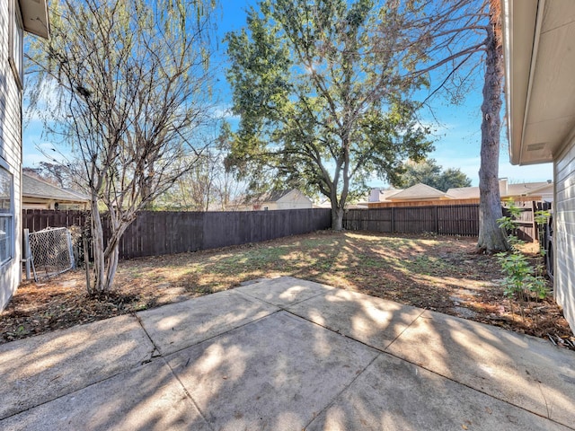 view of yard featuring a patio