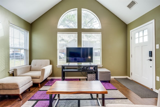 living room featuring wood-type flooring and vaulted ceiling