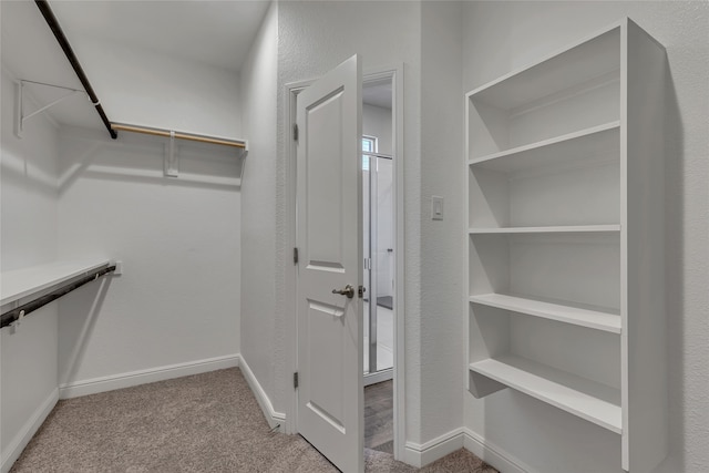 walk in closet with light colored carpet