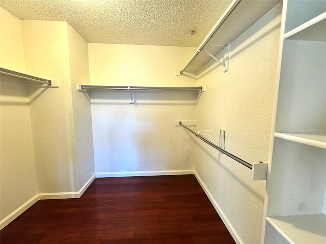 walk in closet with dark hardwood / wood-style flooring