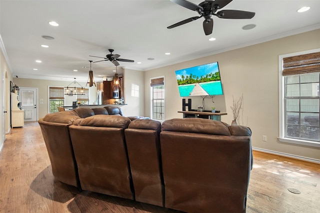 living room featuring crown molding, ceiling fan with notable chandelier, and light wood-type flooring