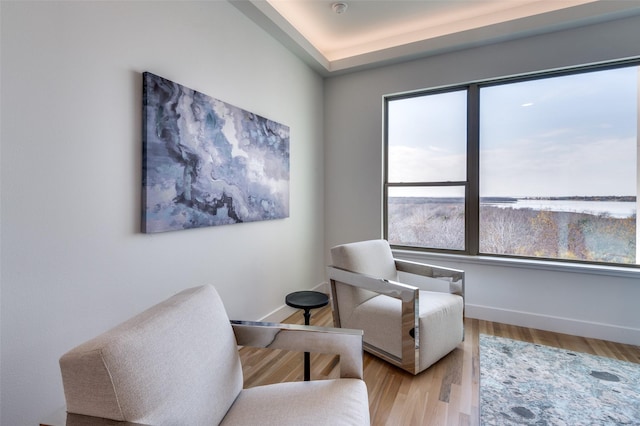 living area featuring light hardwood / wood-style flooring