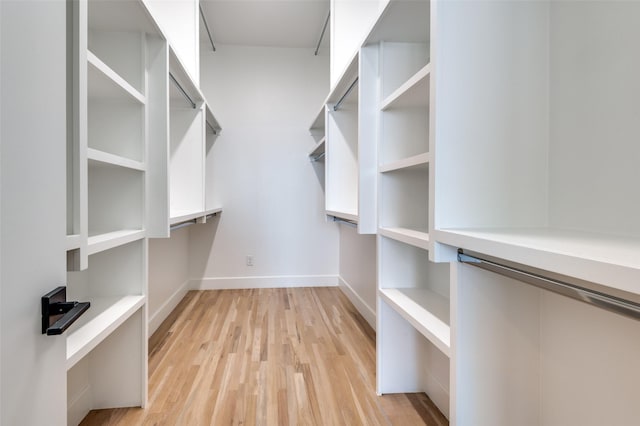 spacious closet featuring light hardwood / wood-style floors