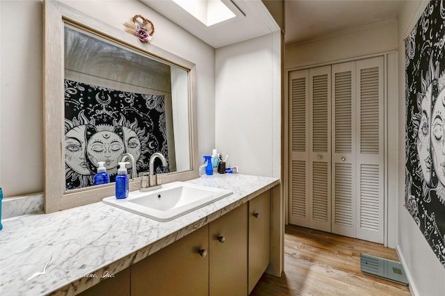 bathroom featuring wood-type flooring and vanity