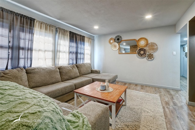 living room featuring light hardwood / wood-style floors